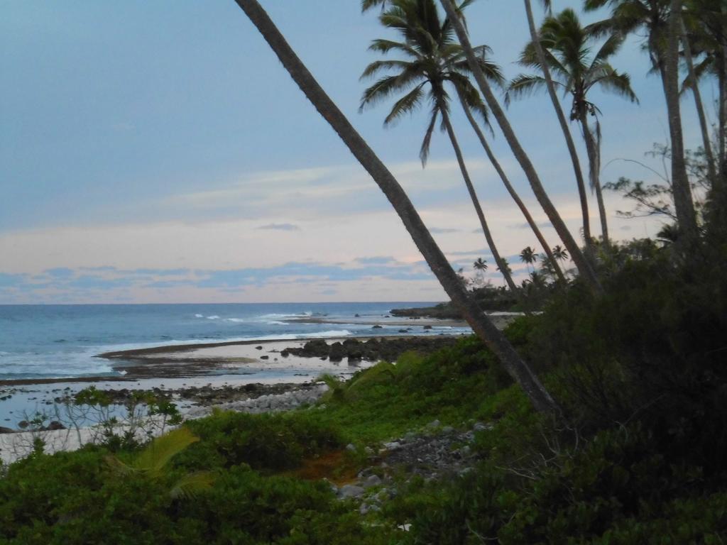 Herons Reef Holiday Apartments Rarotonga Eksteriør billede