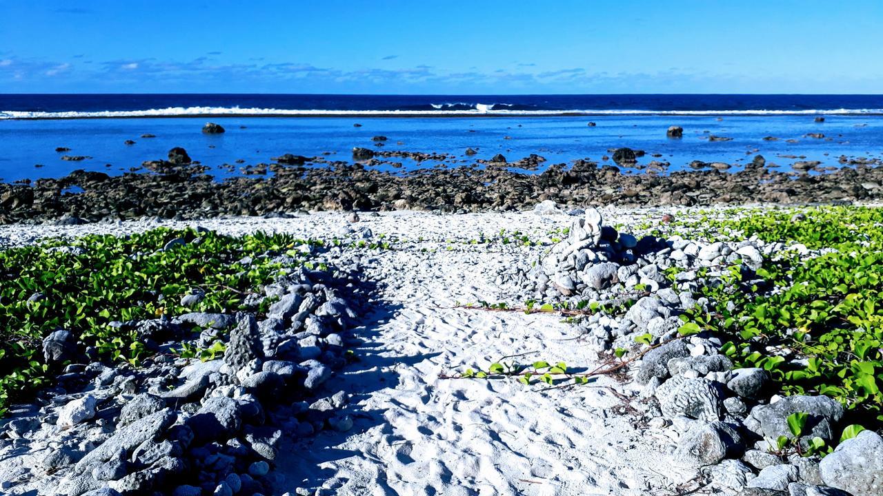 Herons Reef Holiday Apartments Rarotonga Eksteriør billede